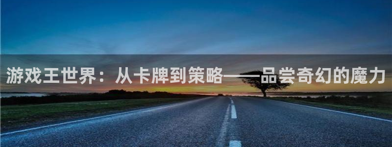 游戏王世界：从卡牌到策略——品尝奇幻的魔力