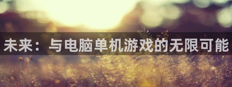 未来：与电脑单机游戏的无限可能