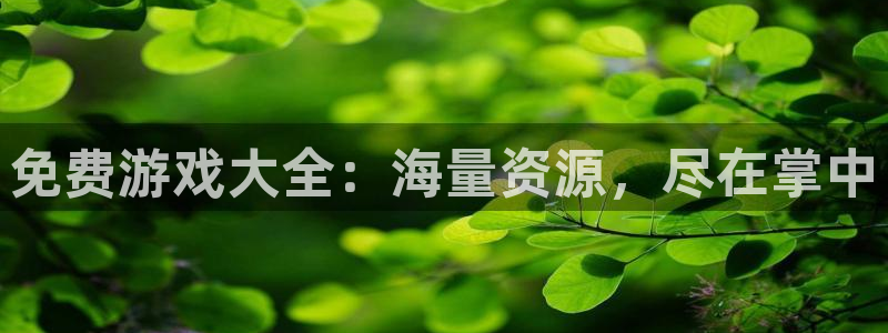 免费游戏大全：海量资源，尽在掌中