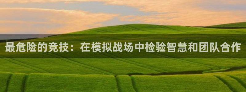 最危险的竞技：在模拟战场中检验智慧和团队合作