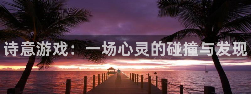 诗意游戏：一场心灵的碰撞与发现