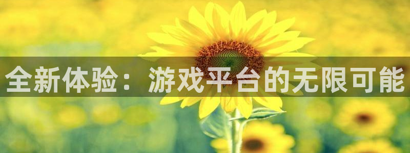 凯发k8娱乐官方下载：全新体验：游戏平台的无限可能