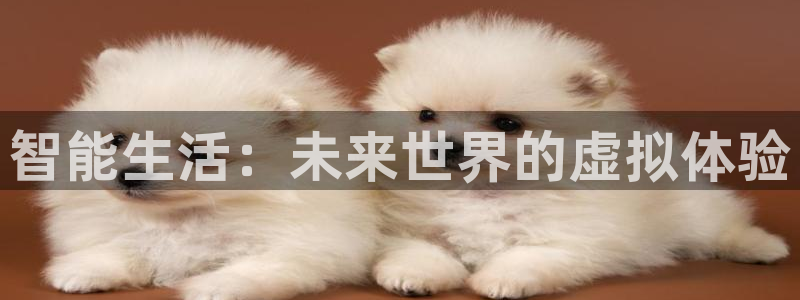 k8凯发创始人照片：智能生活：未来世界的虚拟体验