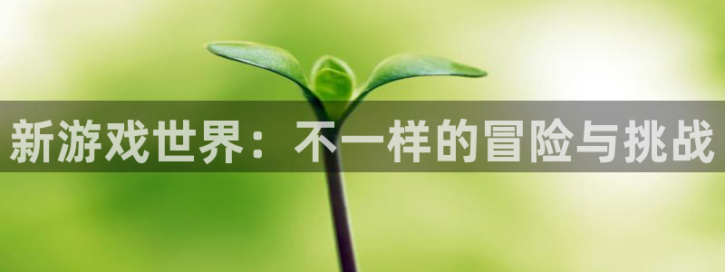 k8凯发·娱乐(中国)首页登录入口：新游戏世界：不一样的冒险