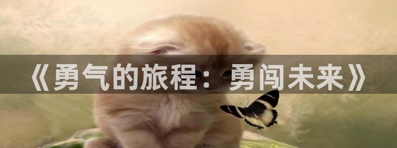 k8凯发是做什么的