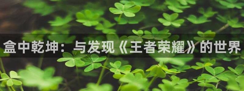 k8凯发信誉怎么样：盒中乾坤：与发现《王者荣耀》的世界