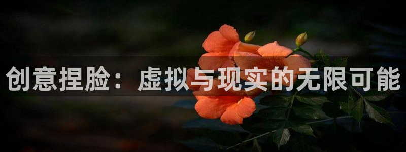 k8凯发版官网：创意捏脸：虚拟与现实的无限可能