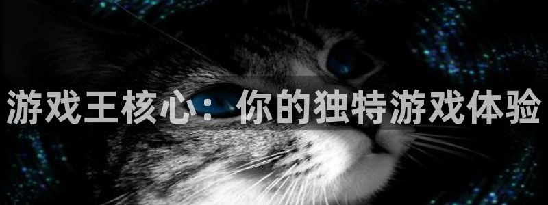 k8凯发官网的登录方式：游戏王核心：你的独特游戏体验